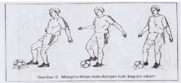 Gambar 6. Menghentikan Bola dengan Kaki Bagian Dalam    Sumber: Sucipto, dkk. (2000: 23)  