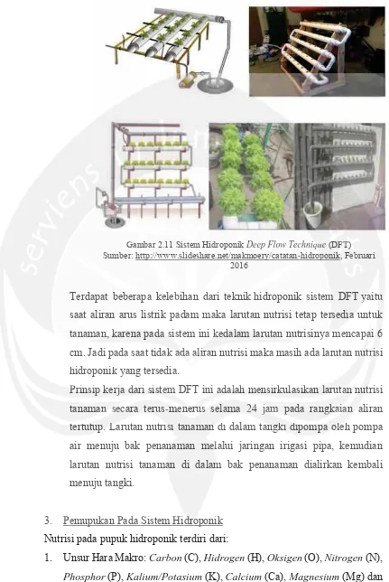 Gambar 2.11 Sistem Hidroponik ponik (DFT)httpar://www.sli 2.1k1Sistdeemsh Hidroponiare.net/mak kmDeep Flow TechniqueDeep Flow TechniSumber:oery/catatanquequ-hidr(DFTopFT)Sumber: http://www.slideshare.net/makmoery/catatan-hidroponik, Februari Gamb,FeFe