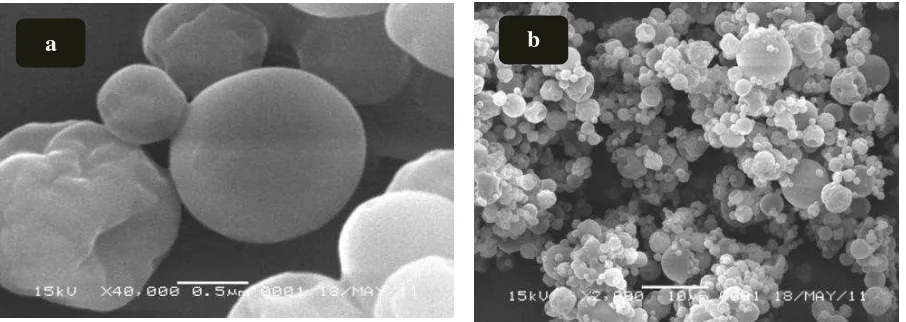 Figure 1.  Hydralazin coating in chitosan-TPP nanoparticle [19] 
