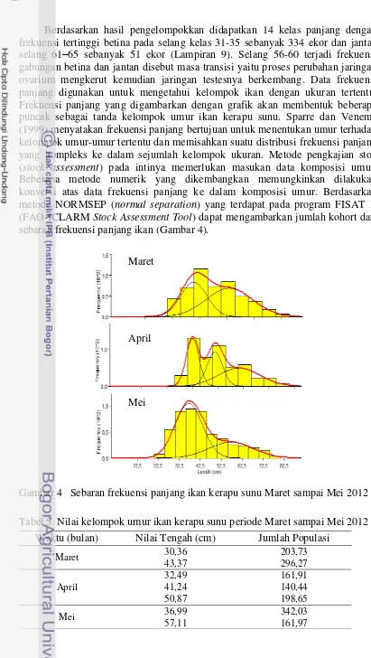 Gambar 4 Sebaran frekuensi panjang ikan kerapu sunu Maret sampai Mei 2012 