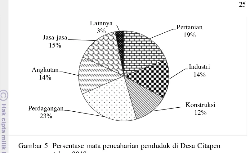 Gambar 5  Persentase mata pencaharian penduduk di Desa Citapen 