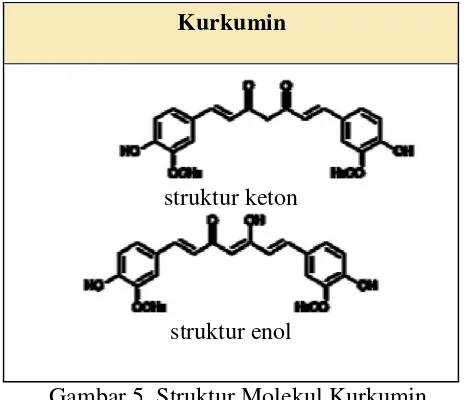 Gambar 5. Struktur Molekul Kurkumin 
