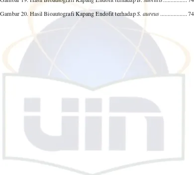 Gambar 19. Hasil Bioautografi Kapang Endofit terhadap B. subtillis................ 74 