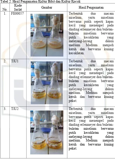 Tabel 2. Hasil Pengamatan Kultur Bibit dan Kultur Kocok 