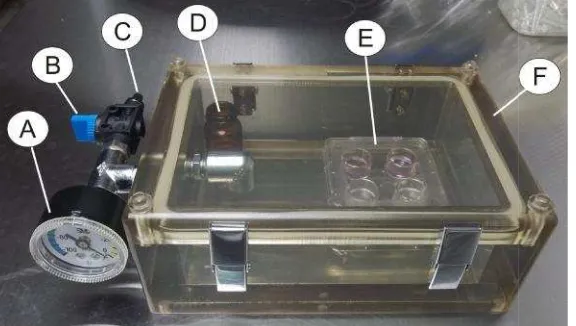 Gambar 2digunakramaeff3);em(be2 Desain wadah inkubator CO2 termodifikasidigunakan untuk kultur: (A) pengukur tekanan;kran buka/tutup saluran udara; (C) lubang masuk/keluar; (D) wadah 5 mL aquades dan seeffervescent yang dikemas dalam kapsul (Ga3); (E) 4-well dish yang berisi media kulturembrio; (F) wadah plastik inkubator CO2 sede(berukuran 15cm x 10cm x 4cm = 0,6L volumekasi yangnan; (B)ng udaran serbukGambarkultur danderhanaume).
