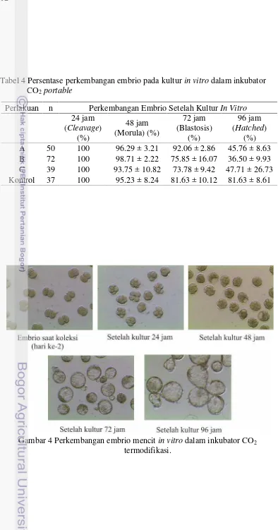 Tabel 4 Persentase perkembangan embrio pada kultur in vitro dalam inkubator