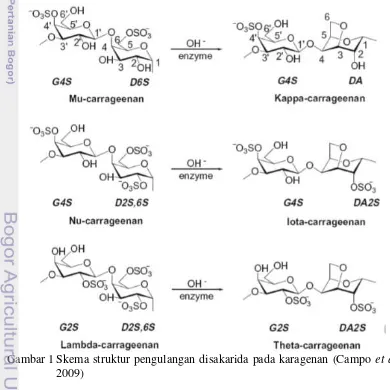 Gambar 1 Skema struktur pengulangan disakarida pada karagenan (Campo  et al., 