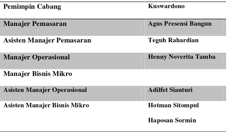 Tabel 4.1. Struktur Organisasi PT BRI, Tbk Cabang Putri Hijau Medan