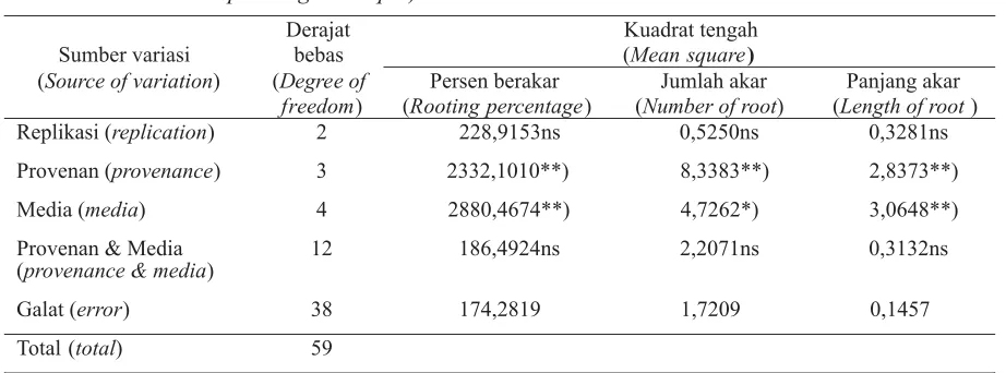 Tabel(Table)