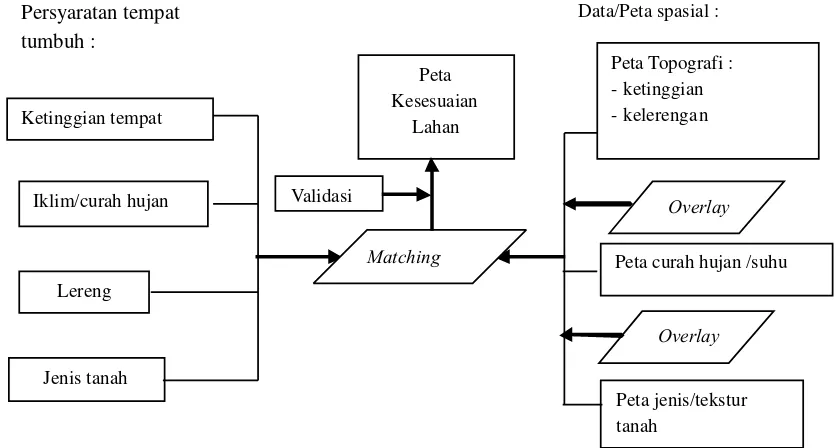 Gambar (Figure)1. Alur kerja penyusunan peta kesesuaian lahan (Flowchart in developing landsuitabilitymap)