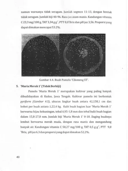 Gambar 4.4. Buah Pamelo 'Cikoneng ST'. 