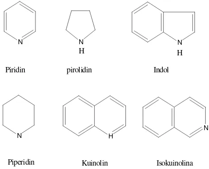 Gambar 5. Struktur beberapa alkaloid 