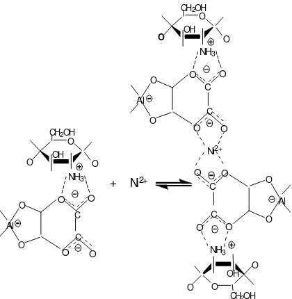 Figure 7. The active sites of alumina-oxalic
