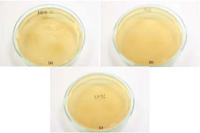 Gambar 23.  Pertumbuhan bakteri pada media MHA setelah diberi bahan coba ekstrak lerak pada berbagai konsentrasi
