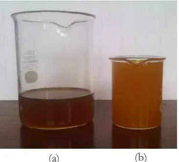 Gambar 1. Lemak tengkawang hasil ekstraksi (a) dan sesudah degumming (b)