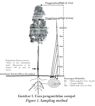 Gambar 1. Cara pengambilan sampel