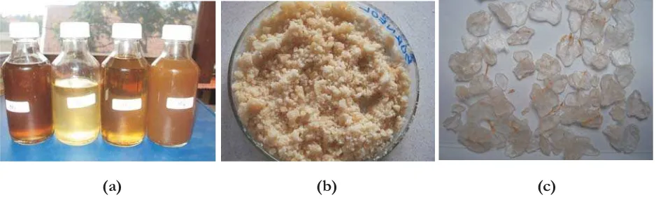 Gambar 1. Minyak (a) dan kristal (b, c) Dryobalanops aromaticaFigure 1. Oil (a) and crystal (b, c) of Dryobalanops aromatica