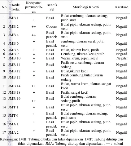 Tabel 2 Karakteristik morfologi BAL hasil isolasi 