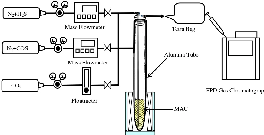 Figure 1 Experimental Apparatus for Removal and Regeneration Tests 