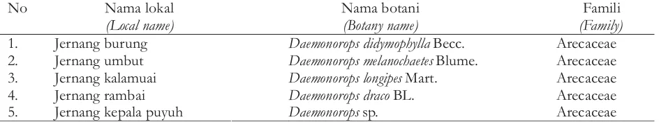 Tabel 1. Jenis-ienis rotan jernangTable 1. Species of dragon's blood rattan
