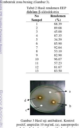 Gambar 3 Hasil uji antibakteri. Kontrol 