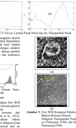 Gambar 5 menunjukkan foto SEM komposit selulosa bakteri-kitosan-gliserol dideposit nanopartikel perak