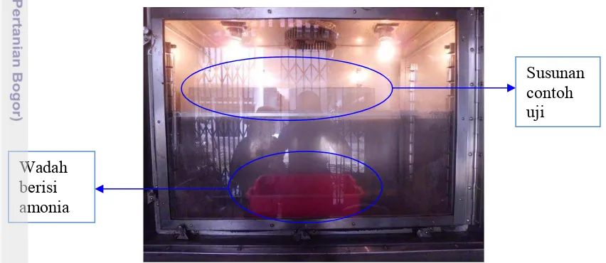 Gambar 1  Posisi amonia dan kayu di dalam kilang fumigasi 
