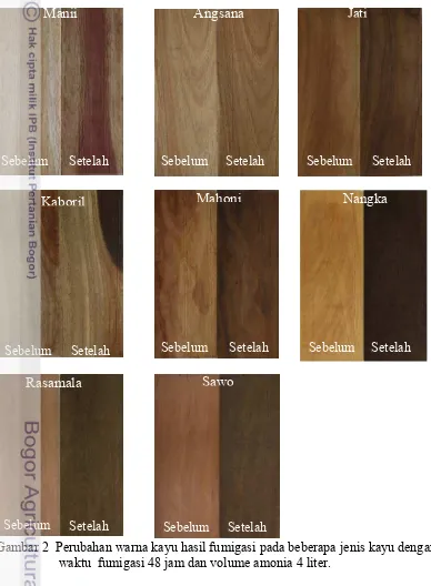 Gambar 2  Perubahan warna kayu hasil fumigasi pada beberapa jenis kayu dengan 