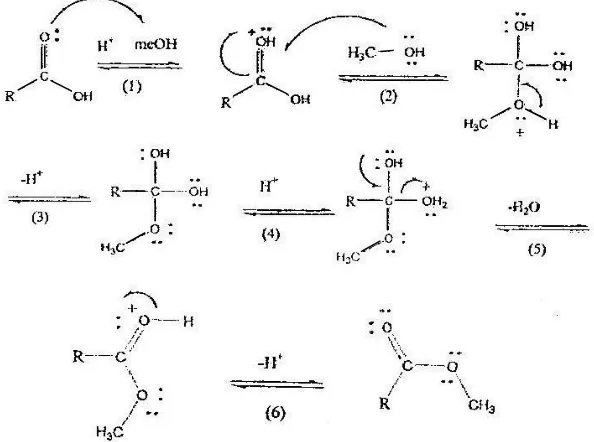 Figure 5.The decrease in acid number of Jatropa curcas oil biodiesel (through esterification