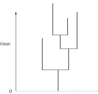 Figure 1: A realization t of the Galton-Watson tree T. The tree t has total progeny n(t) = 7