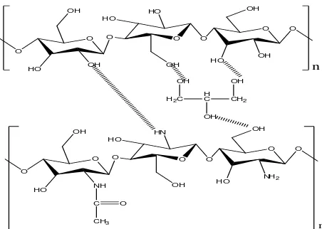 Figure 5. Interaction among glycerol, chitosan, and cellulose. 