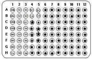 Gambar 5 Format plat yang digunakan. Blk: Blanko, NSB: Non Spesific Binding, B0: Maximum Binding, TA: Total Activity, S1-S8: Standar prostaglandin, BC: Background, IA: 100% Initial Activity,   : Sampel 