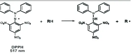 Gambar 1. Mekanisme reaksi metode DPPHFigure 1. The reaction mechanism of DPPH method