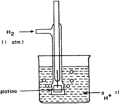 Gambar 3. Elektroda Hidrogen standar