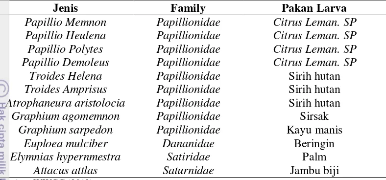 Tabel 8  Jenis kupu-kupu yang ditangkar di Wana Wisata Curug Tujuh Cilember tahun 2012 