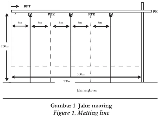 Gambar 1. Jalur matting