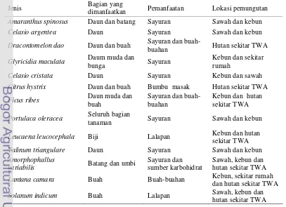Tabel 11   Daftar tiga belas (13) jenis tumbuhan pangan yang jarang dimanfaatkan (minor) oleh masyarakat sekitar kawasan TWA Madapangga  