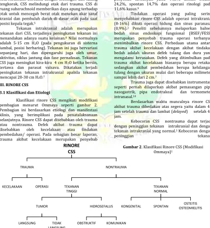 Gambar 2. Klasifikasi Rinore CSS (Modifikasi 
