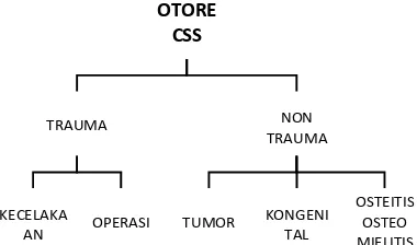 Gambar 3. Klasifikasi Otore CSS. 1 