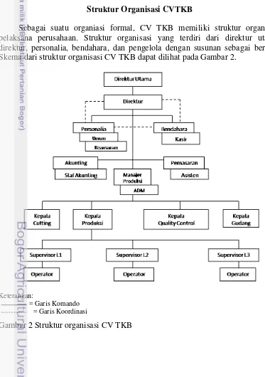 Gambar 2 Struktur organisasi CV TKB 