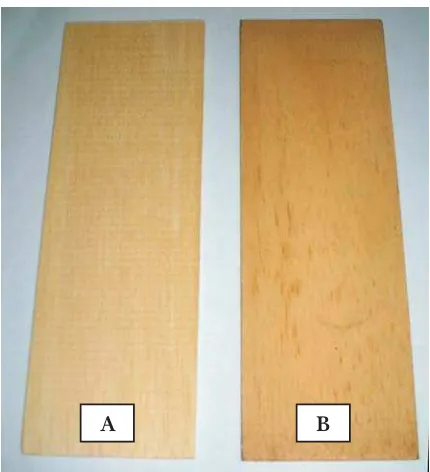 Gambar 2. Perbedaan warna kayu labu sebelum (A) dan sesudah perlakuan (B)