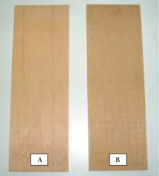 Gambar 3. Kualitas permukaan kayu labu setelah pengamplasan pada contoh ujikontrol (A) dan perlakuan resin (B)Figure 3.Surface quality of labu on control (A) and resin treated (B) samples
