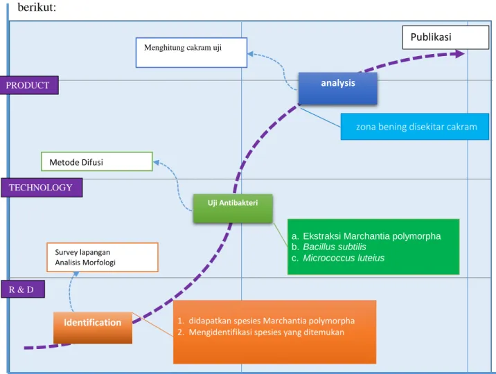 Gambar 1. Roadmap penelitian   