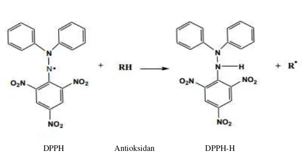 Gambar 7 Reduksi DPPH dari senyawa antioksidan (Prakash  et al. 2001) 