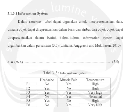 Tabel 3. 3 : Information System 