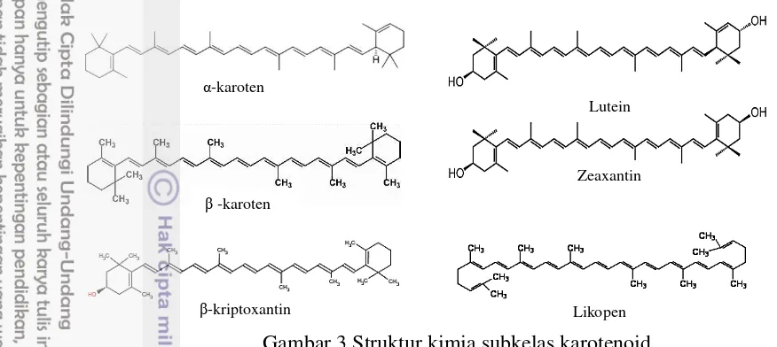 Gambar 3 Struktur kimia subkelas karotenoid 