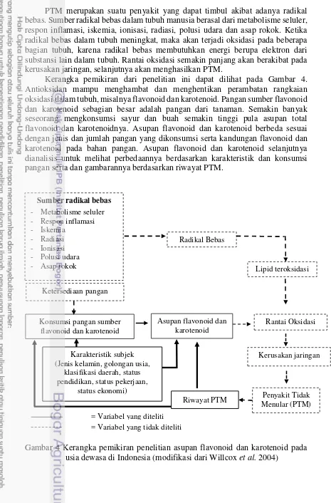 Gambar 4 Kerangka pemikiran penelitian asupan flavonoid dan karotenoid pada 