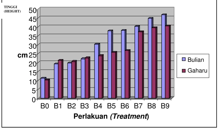 Figure 3.  The influence of bioactive charcoal compost addition on seedlings height 
