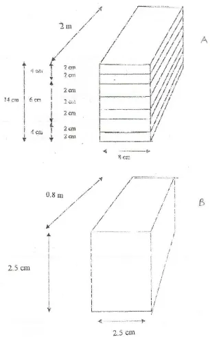 Gambar 3. Profil balok kayu lamina (A), dan balok kayu utuh bebas cacat (B) untuk  