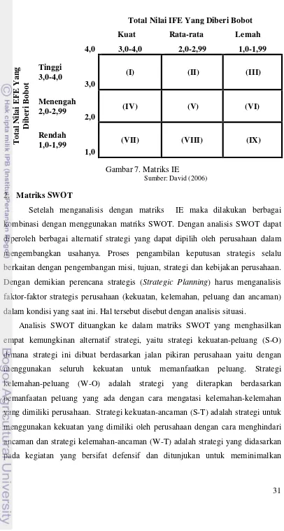 Gambar 7. Matriks IE 
